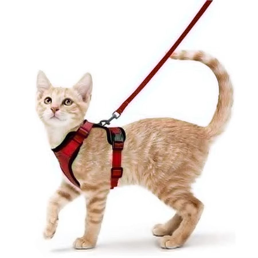 SafeStep Cat Harness